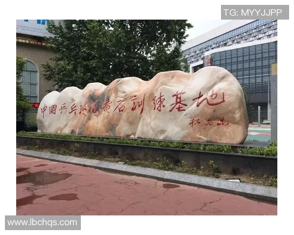 武汉乒乓球队状态分析与未来展望聚焦乒乓球发展新机遇